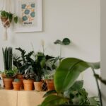 Fotó: cottonbro studio, Forrás: Pexels